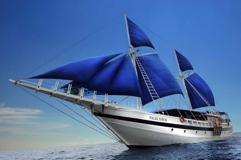 Palau Siren - image Palau Siren - image