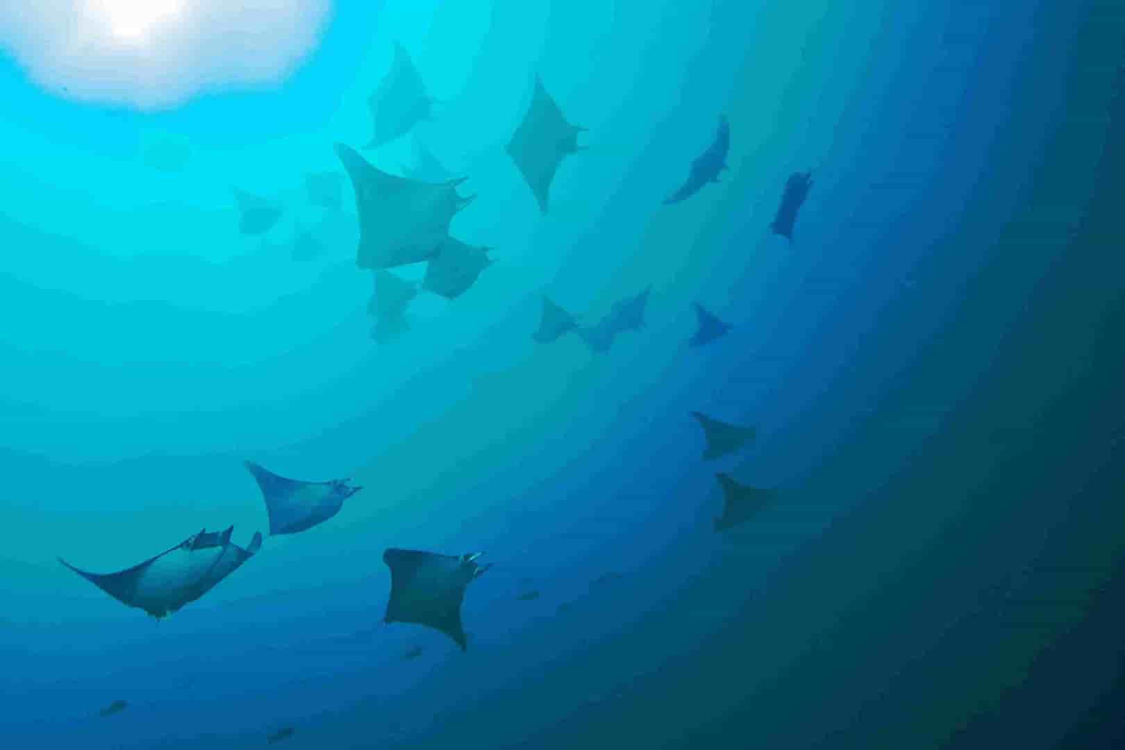 Thumbnail 22 Thumbnail 22