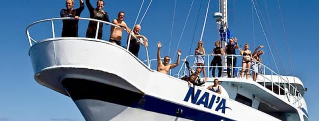 Naia Naia