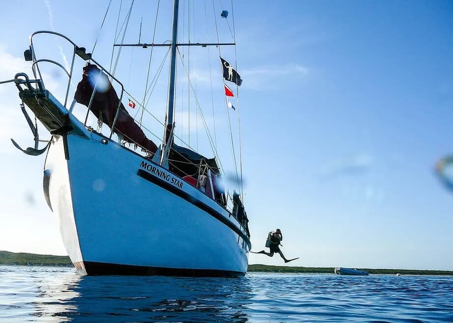 Sea Explorer - image Sea Explorer - image