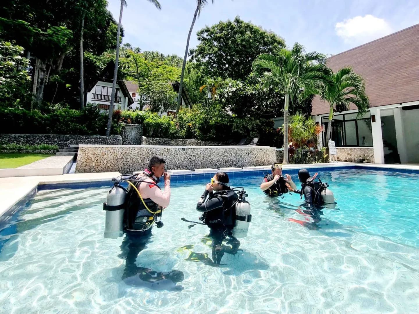 Divers training in the pool Divers training in the pool