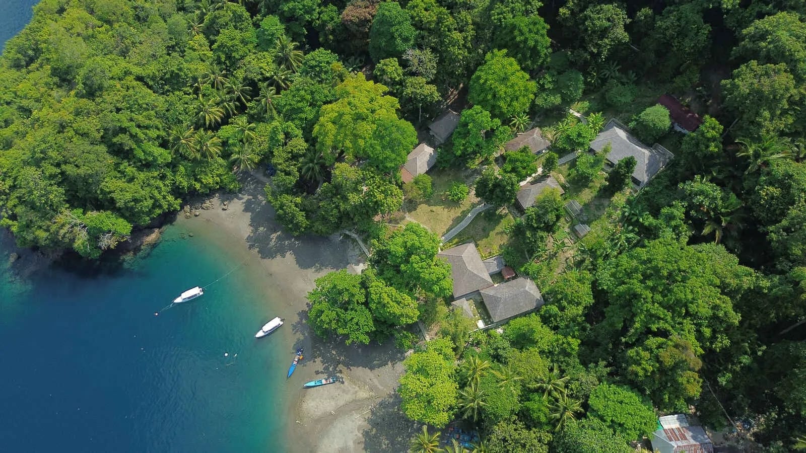 Ambon Dive Resort - image Ambon Dive Resort - image