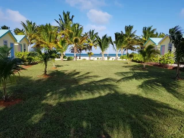 Royal Caribbean Resort Royal Caribbean Resort