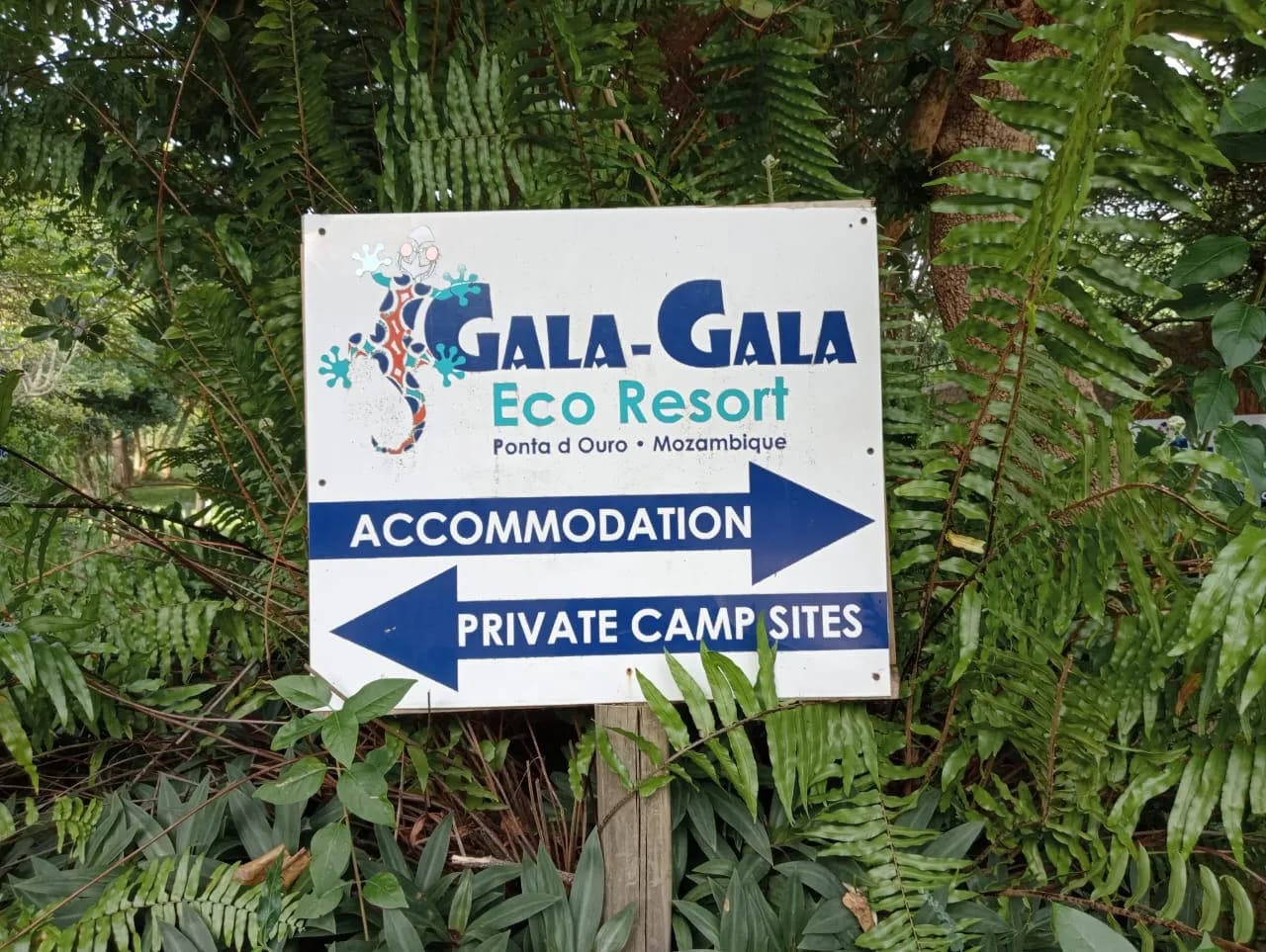 Gala-Gala Eco Resort - image Gala-Gala Eco Resort - image