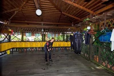 mwb-dive-1.jpg mwb-dive-1.jpg