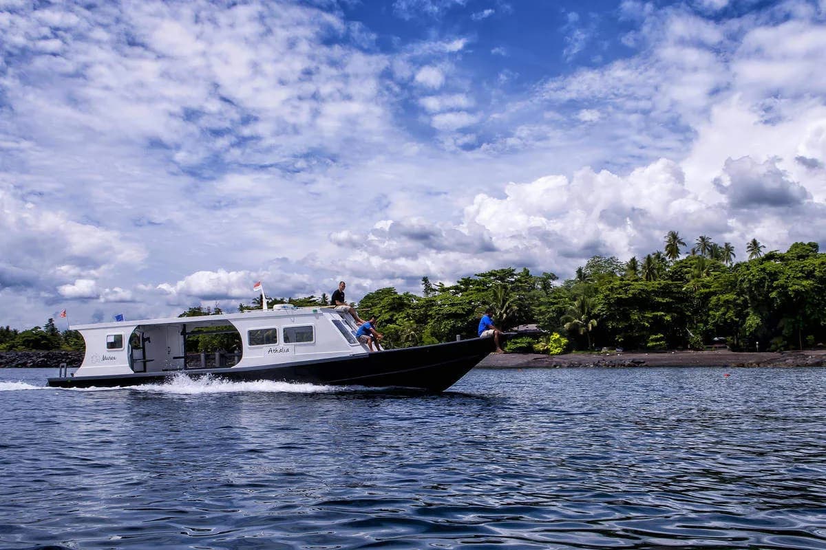 murex-manado-14.jpg murex-manado-14.jpg