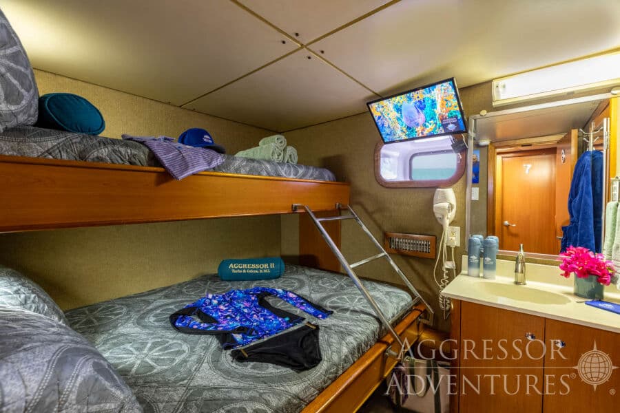 Deluxe Stateroom Lower Deck - image Deluxe Stateroom Lower Deck - image