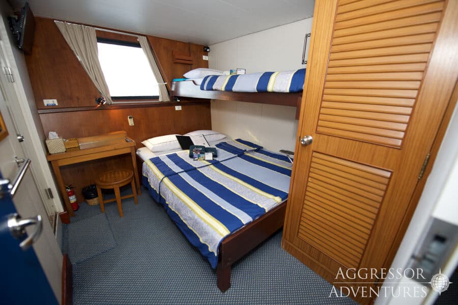Deluxe Staterooms (Main & Upper Deck) Main Deck - image Deluxe Staterooms (Main & Upper Deck) Main Deck - image